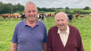 Farm walk to take place on Roscommon family farm 
