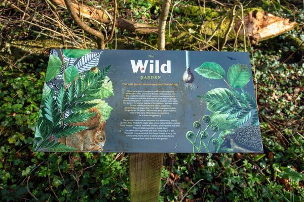 The Wild Garden at Strokestown Park, a biodiversity garden Pic: Paula T. Nolan The Wild Garden at Strokestown Park, a biodiversity garden Pic: Paula T. Nolan