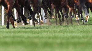 Roscommon Racecourse all set for all-flat card Roscommon Racecourse all set for all-flat card