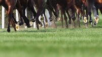 Roscommon Racecourse all set for all-flat card