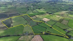 County Roscommon farm on the market with guide price of €975,000 County Roscommon farm on the market with guide price of €975,000