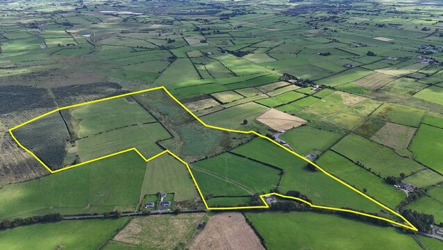 <p>The lands are ideally suited to a variety of farming enterprises, including beef, sheep or mixed use. </p>