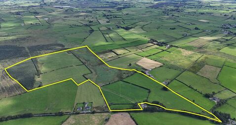 County Roscommon farm on the market with guide price of €975,000