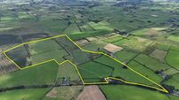 County Roscommon farm on the market with guide price of €975,000