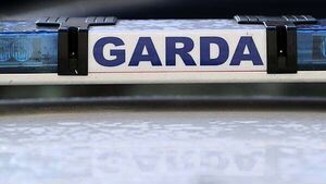 Woman (70s) dies after being stung by bees in Co Mayo Woman (70s) dies after being stung by bees in Co Mayo