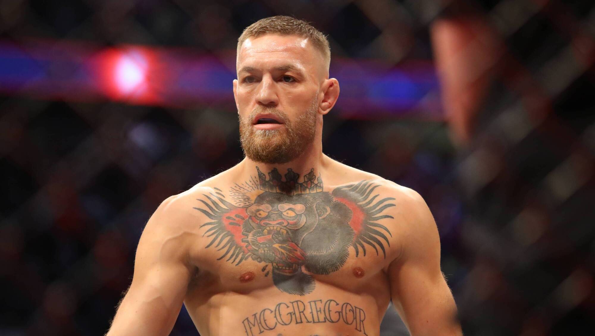 Conor McGregor writes to Roscommon County Council seeking support for presidential bid