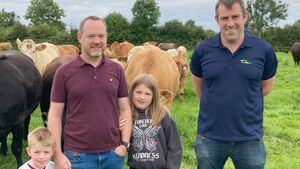 Suckler farm walk to take place in Castlerea