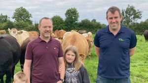 Suckler farm walk to take place in Castlerea