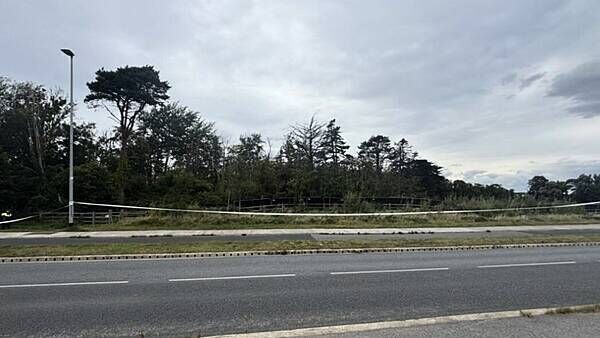 Search for missing boy feared dead continues in Dublin