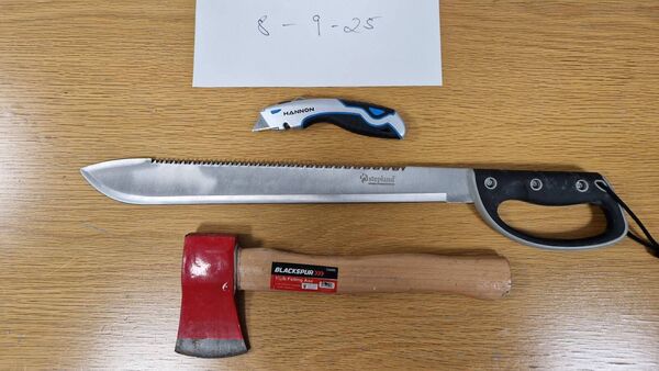 Weapons seized and man arrested