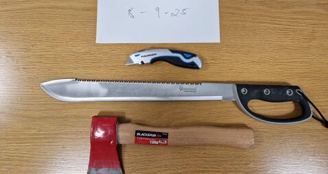 Weapons seized and man arrested