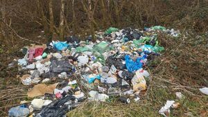 Calls for tougher stance on illegal dumping