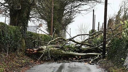 Storms likely to be ‘much more destructive’ due to climate change, Met Éireann briefing says