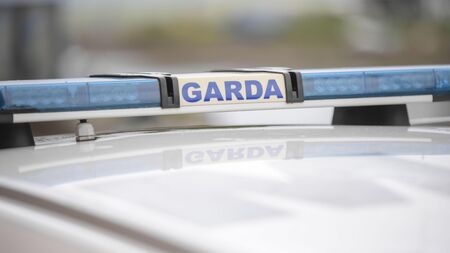 Gardaí and emergency services at the scene of County Roscommon tragedy