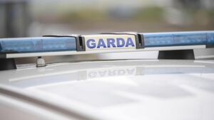 Gardaí and emergency services at the scene of County Roscommon tragedy Gardaí and emergency services at the scene of County Roscommon tragedy