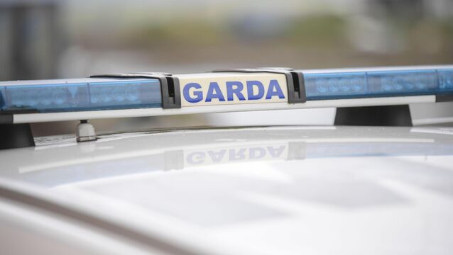 Gardaí and emergency services at the scene of County Roscommon tragedy