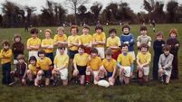 Local rugby club gears up for golden jubilee