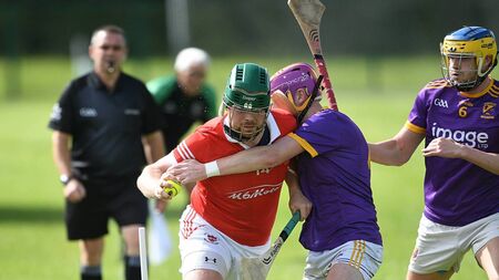 Repeat county senior hurling final on the cards?