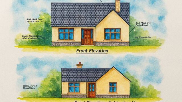 County Roscommon site on the market with full planning permission for 14 homes