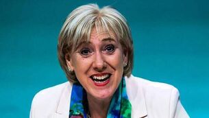 Irish MEP disappointed as EU Gaza resolution 'stops short of genocide label'