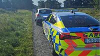 Driver arrested after cannabis found