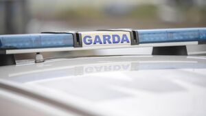 Garda appeal for witnesses following fatal accident
