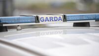 Garda appeal for witnesses following fatal accident