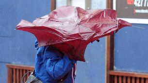 <p>Heavy rain is expected tonight and into tomorrow. Picture: Denis Minihane.</p>