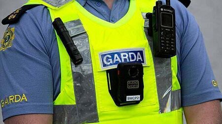 Taoiseach says gardaí fear lone wolf attack on politicians