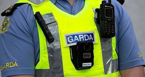 Taoiseach says gardaí fear lone wolf attack on politicians