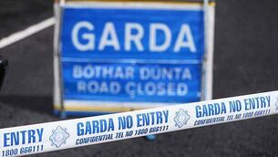 President Higgins pardons two men of murder 140 years after their executions