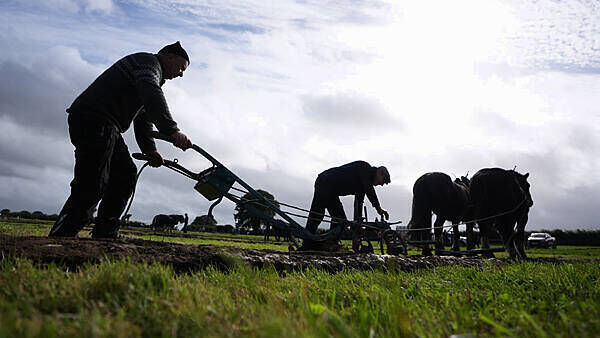 ‘Huge issue’ of trespassing and dog attacks discussed at Ploughing Championships