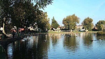 Bird flu outbreak at the Lough wildlife sanctuary in Cork