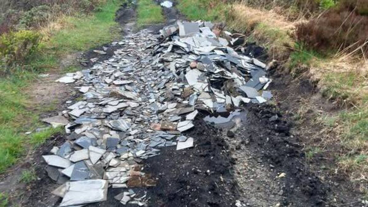 Illegally dumped hazardous asbestos waste cleaned up in County Roscommon