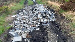 Illegally dumped hazardous asbestos waste cleaned up in County Roscommon