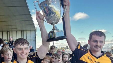 Morris and Mulry catapult Four Roads to another senior hurling title