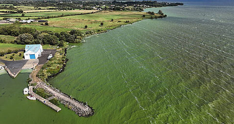 Recovery of Lough Neagh ‘will take years, if not decades’