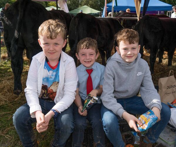 On a break: Leitrim boys Ryan Faughnan and Jack Faughnan from Mohill with Alex Prior from Aughnasheelin at Strokestown Show. Pic: Gerry Faughnan 