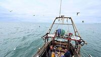 New fishing rules for trawlers
