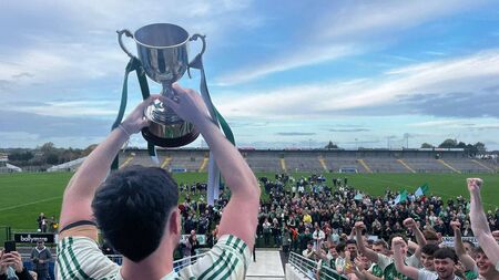 Halpin’s late heroics help St. Barry’s survive