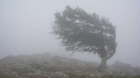 County Roscommon spared Status Orange wind warning as Storm Amy approaches