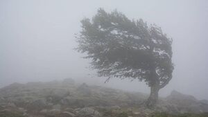 County Roscommon spared Status Orange wind warning as Storm Amy approaches