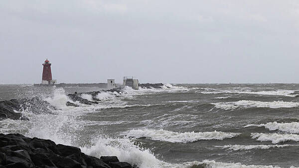 Storm Amy: Met Éireann warn of power outages with gale force winds to hit over the weekend