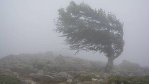 <p>The severe weather has made driving conditions extremely hazardous.</p>