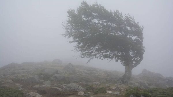 Latest: STORM AMY updates for County Roscommon and surrounding areas
