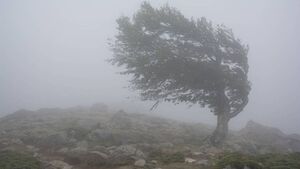 Latest: STORM AMY updates for County Roscommon and surrounding areas