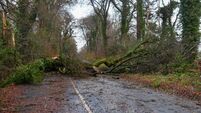 Local Senator calls on Housing Minister to urgently publish Storm Éowyn review