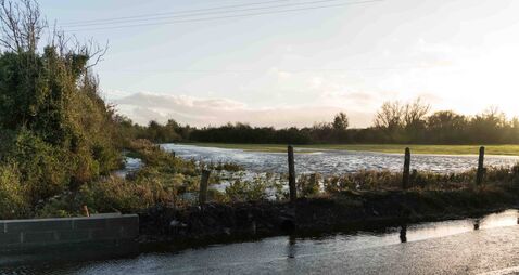 More than 1,000 homes in County Roscommon and surrounding areas still without power since Friday 