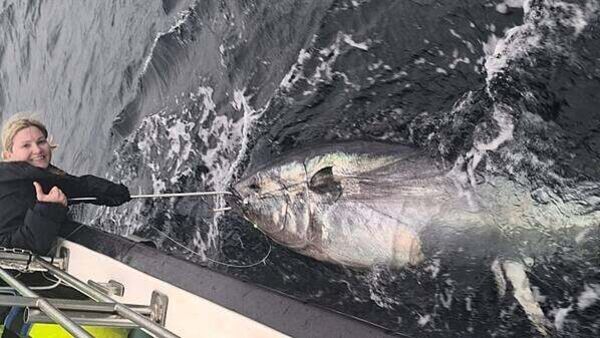 Biggest fish ever caught in Ireland hooked off coast of Donegal