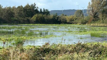 MEP calls for urgent action to protect farmers and property owners over rewetting flooding fears